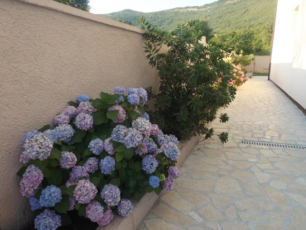 Apartmani Bulajic Tivat Exteriör bild